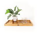 Leo Teak Tray 80cm